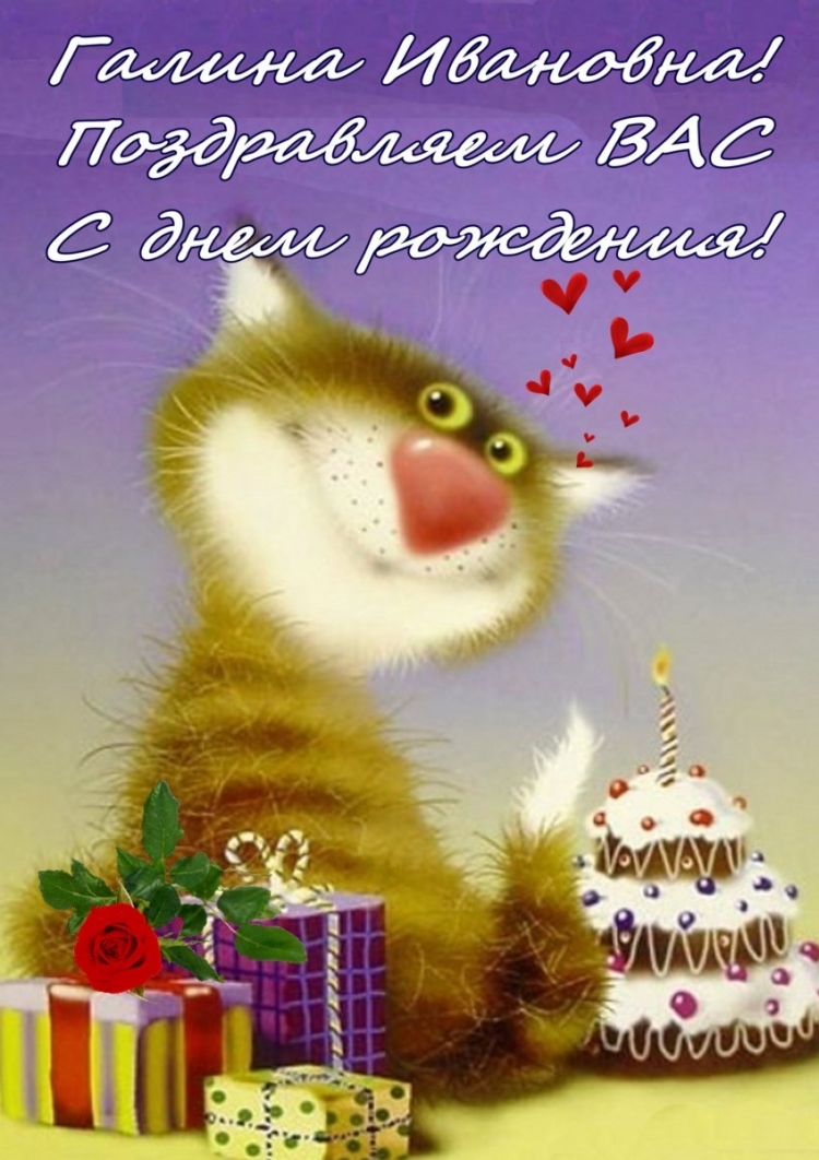 Поздравление с днем рождения с котом