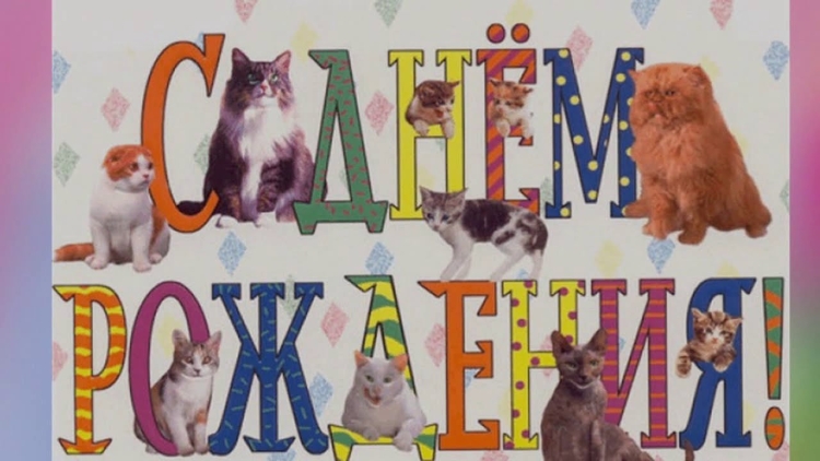 Коты поздравляют с днем рождения
