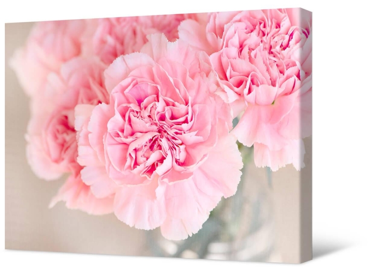 С днём рождения Ирина Никл