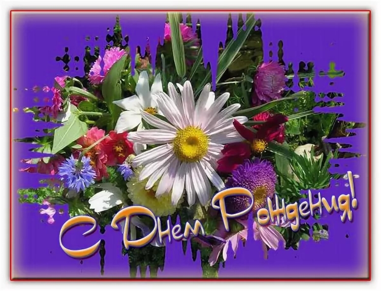 С днём рождения Нина