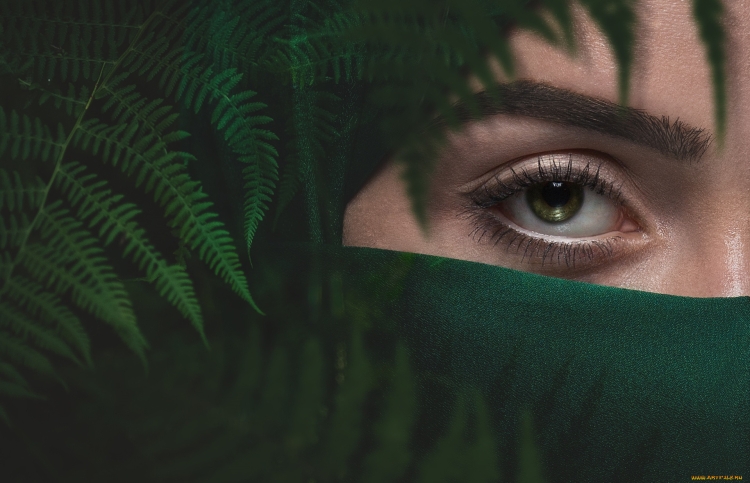 Зеленый лес глаза