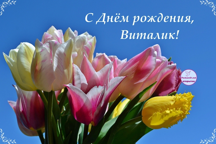 Поздравить Виталия с днем рождения