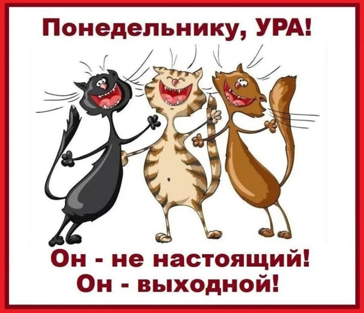 Понедельник выходной