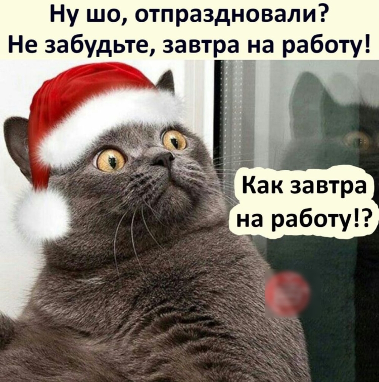 После новогодних праздников