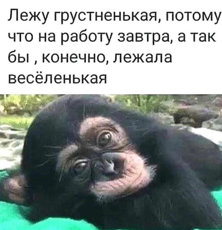 Завтра снова на работушку