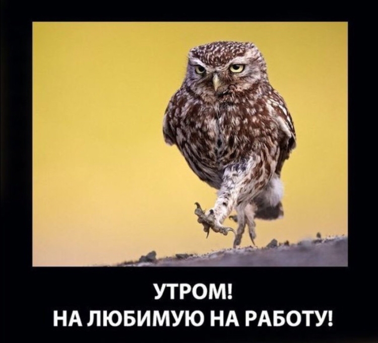 Иду на работу приколы