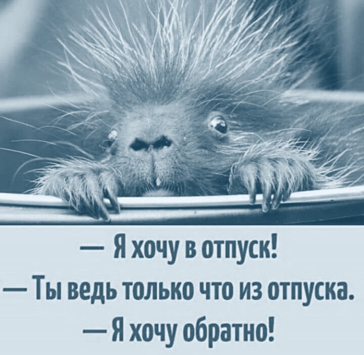 Поздравление с окончанием отпуска