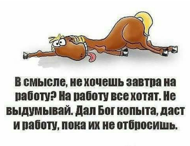 Смешные статусы про работу