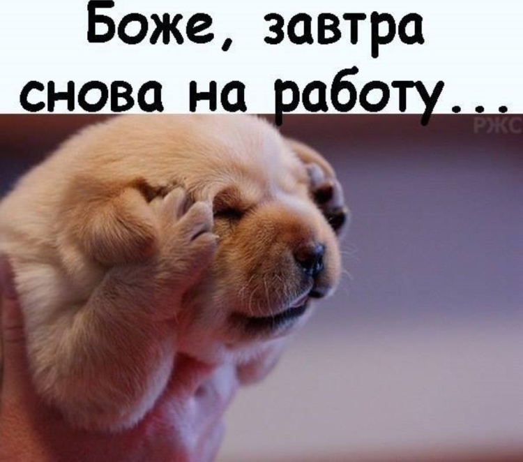 Позитивчик для поднятия настроения