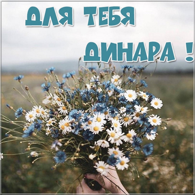 Поздравить Динару с днем рождения