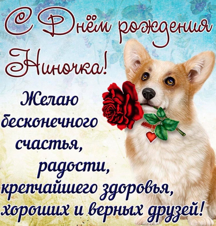 Поздравления с днём рождения с собаками