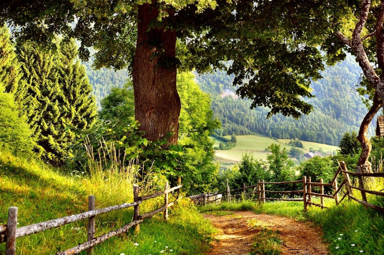 Природа деревня