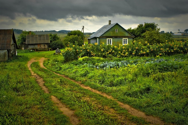 Фотопейзажи белорусских деревень