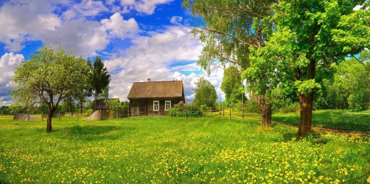 Весна в деревне