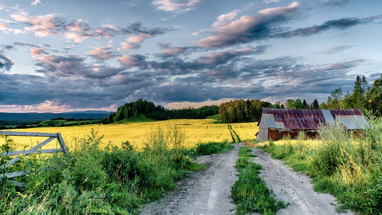 Красивая природа деревня