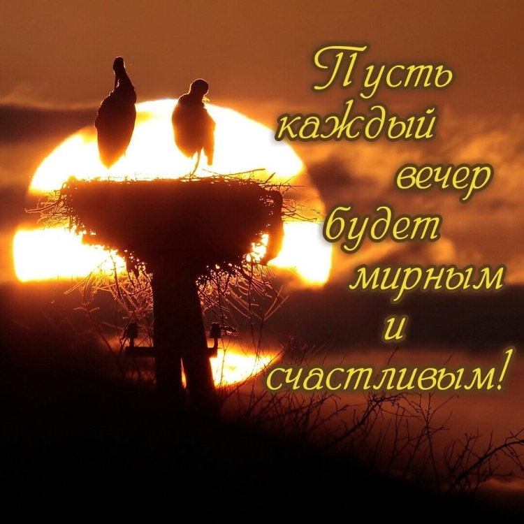 Добрый вечер цитаты