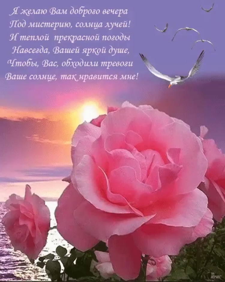 Открытки со стихами добрый вечер