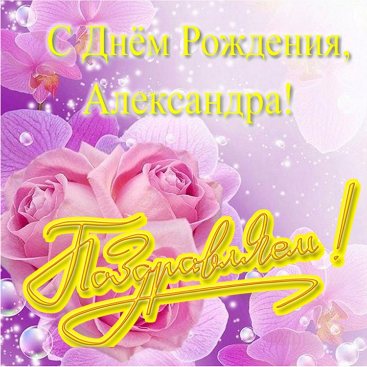 С днём рождения Алеесандра