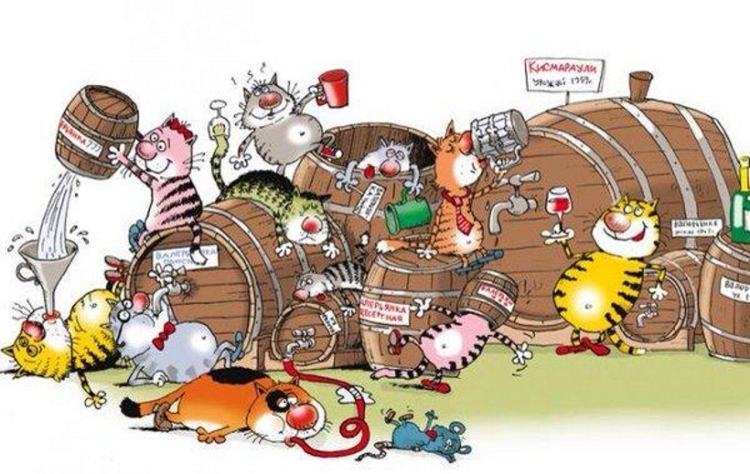 С днём рождения забавные картинки