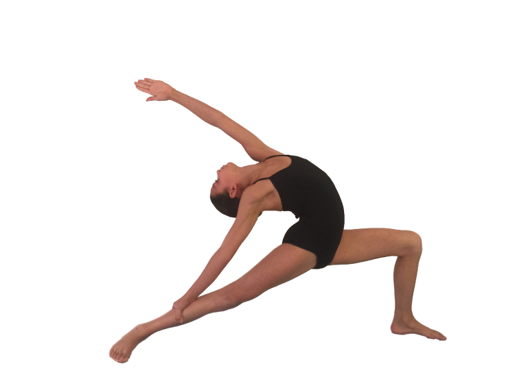 Гимнастические упражнения