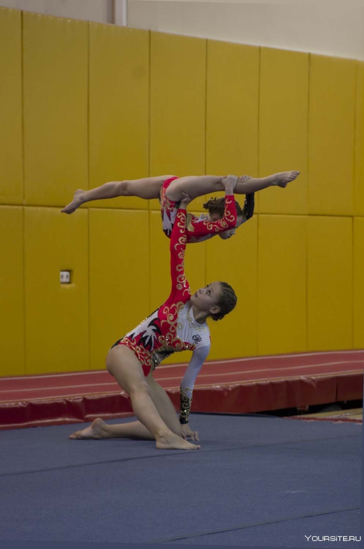 «Спортивная гимнастика и акробатика» Фролов Сергей Петрович