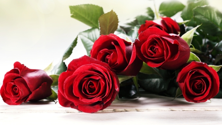 С днём рождения розы красивые поздравления