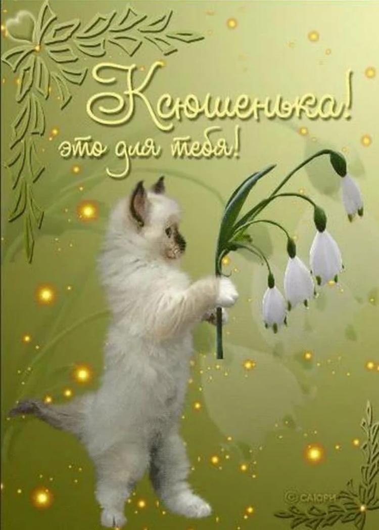 Костюша с днем рождения