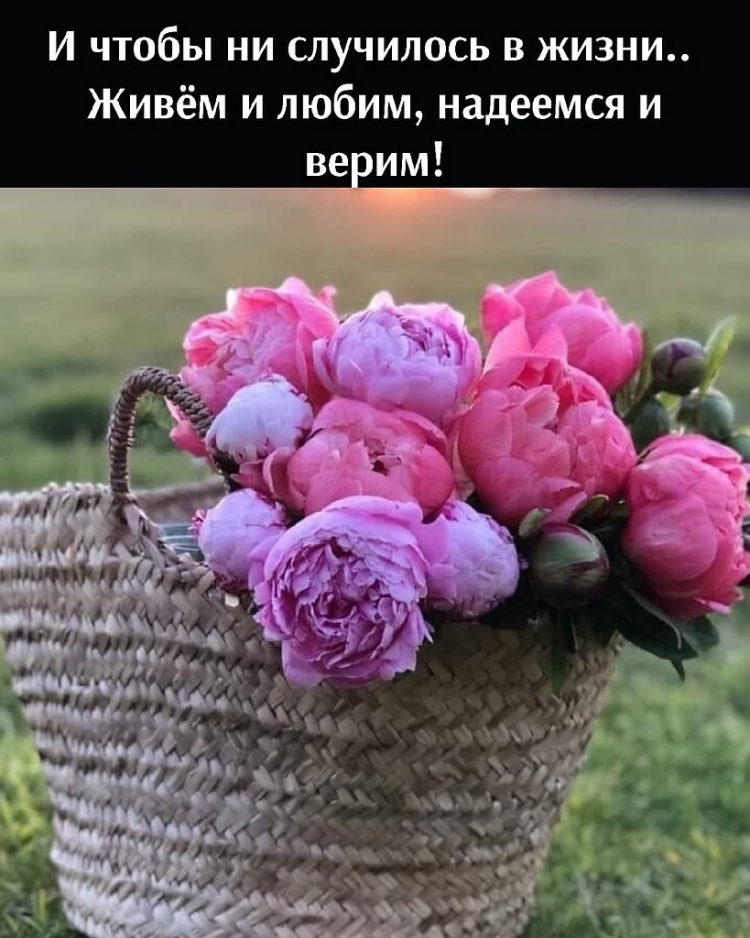 Пожелания хорошего настроения и удачного дня