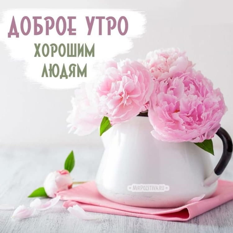 Нежные поздравления с добрым утром