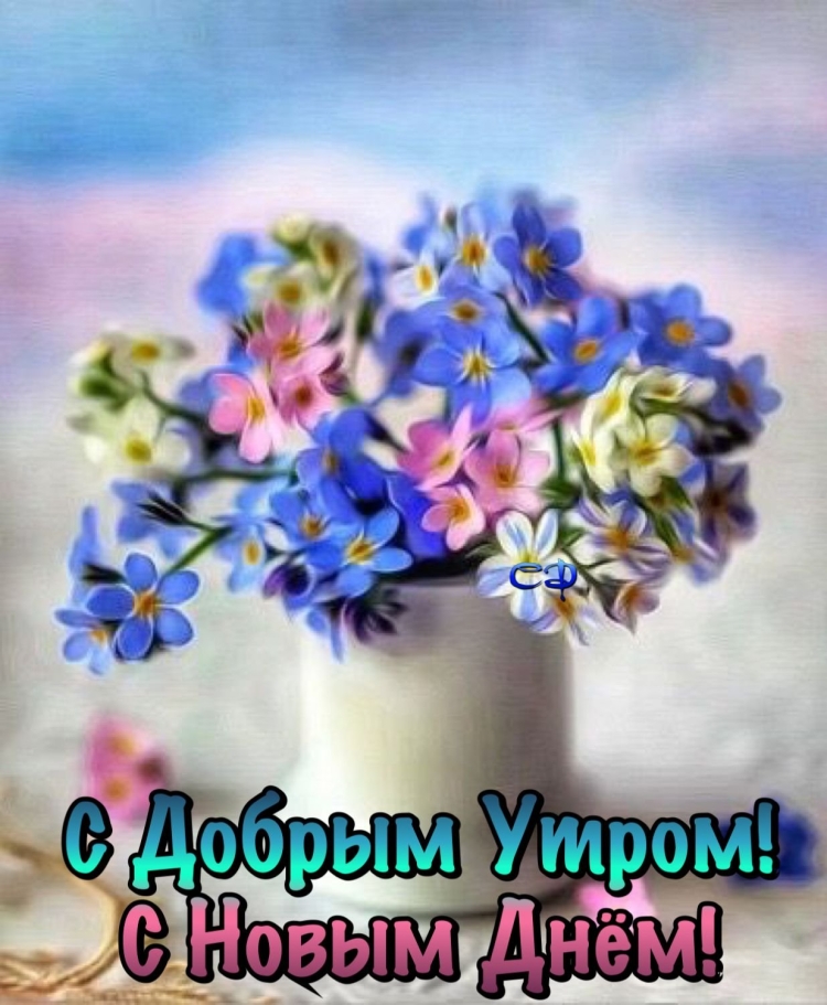 С добрым утром незабудки