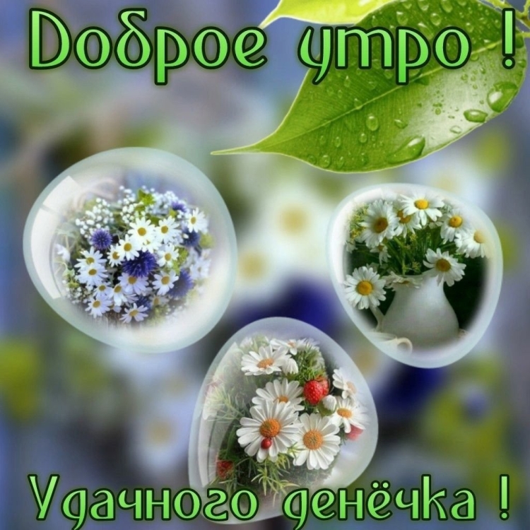 Доброе утро Эмма