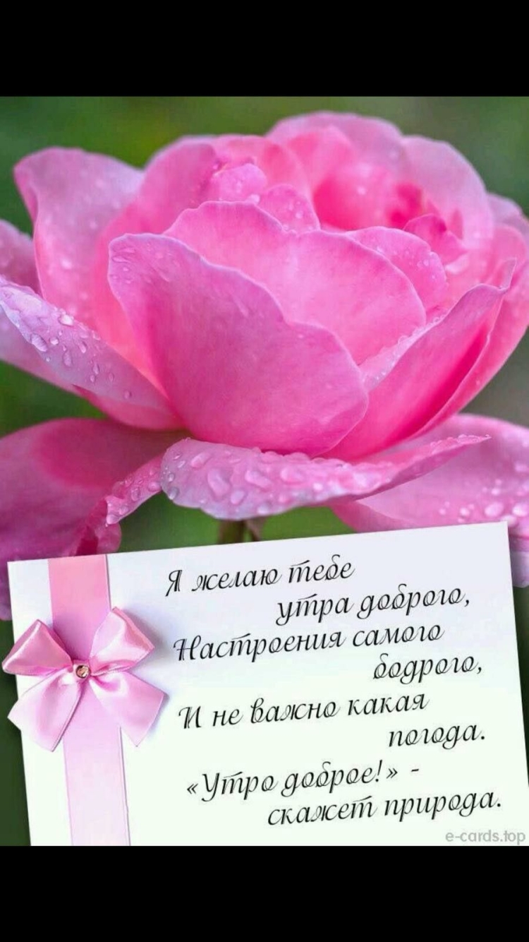 Христианские открытки с добрым утром