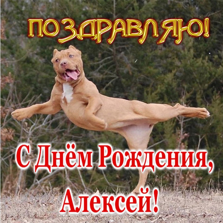Поздравление п с днем рождения Алексей