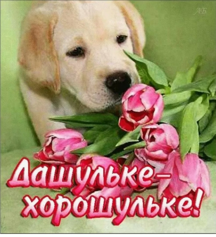 С днём рождения Дашенька