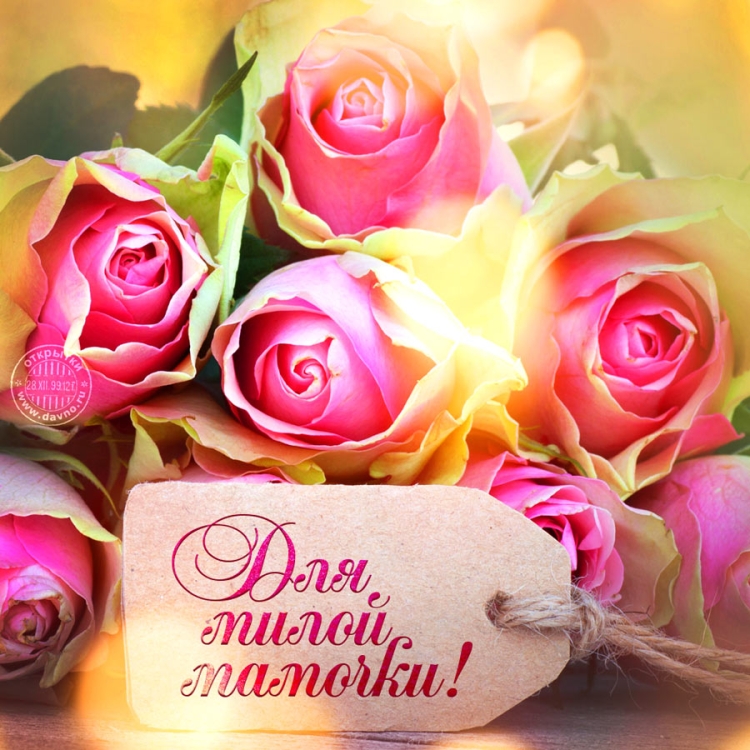 Поздравительные открытки с днем рождения