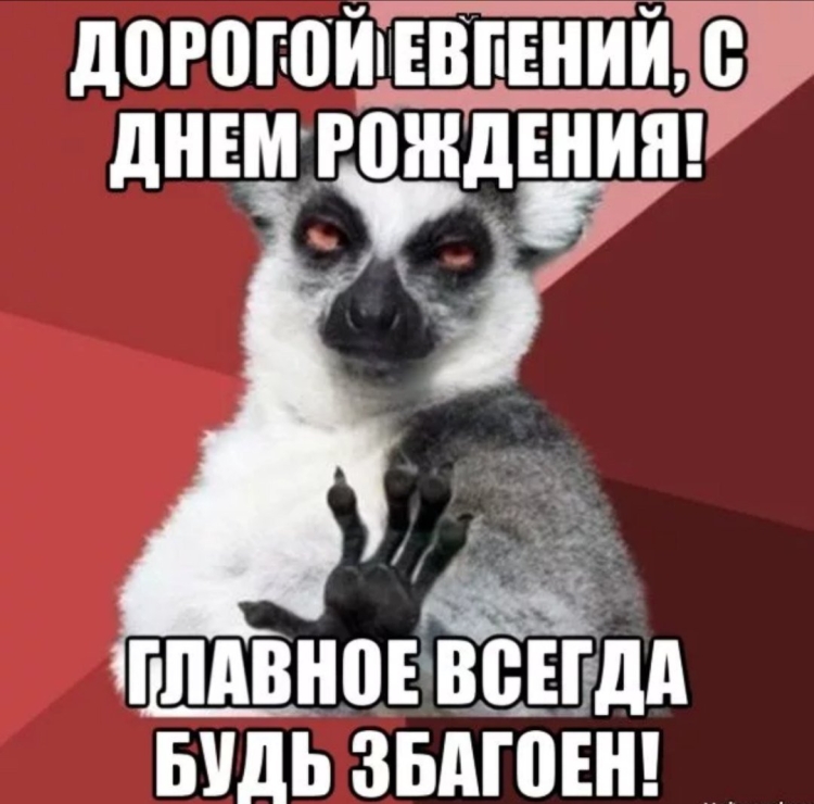 С днем рождения Женек