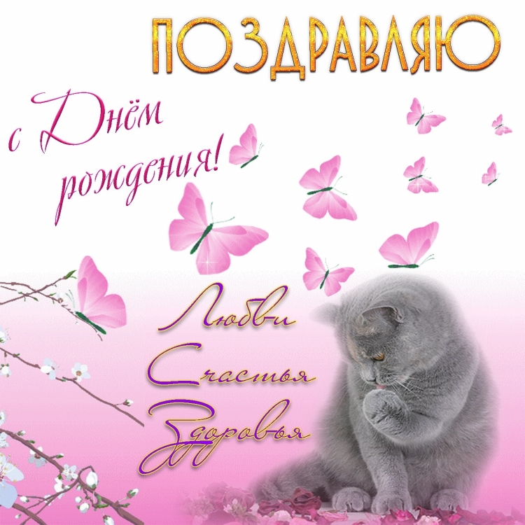 С днём рождения Оля с котиками