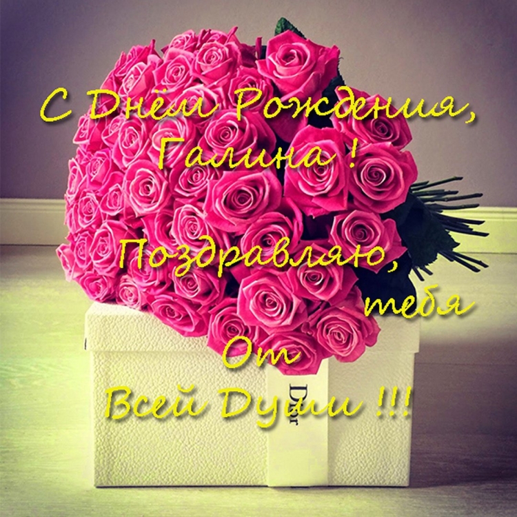 С днём рождения, гвлина