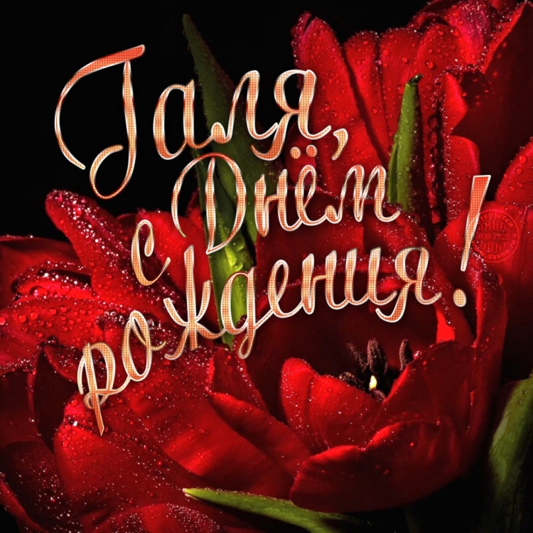 Света с днём рождения