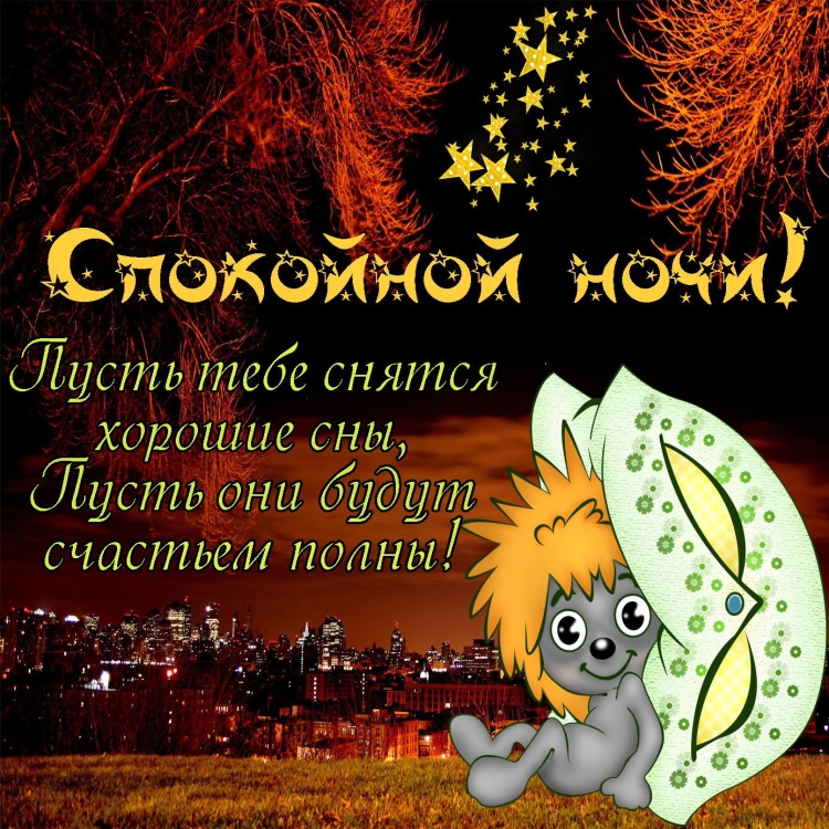 Спокойной ночи уставшему ёжику