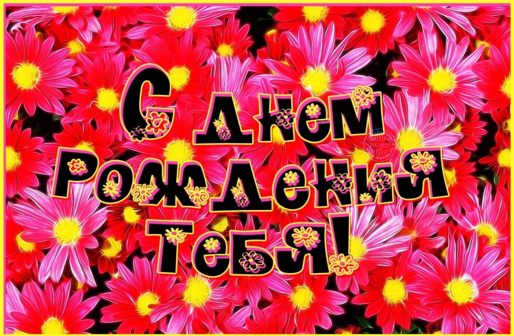 С днём рождения девушке