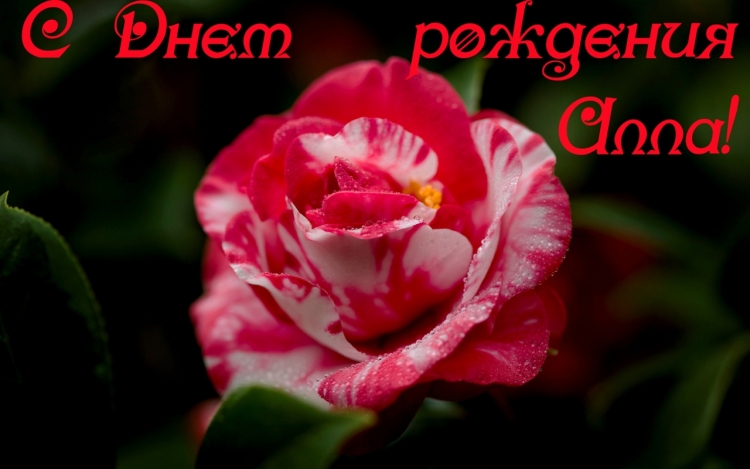 С днём рождения Аллочка