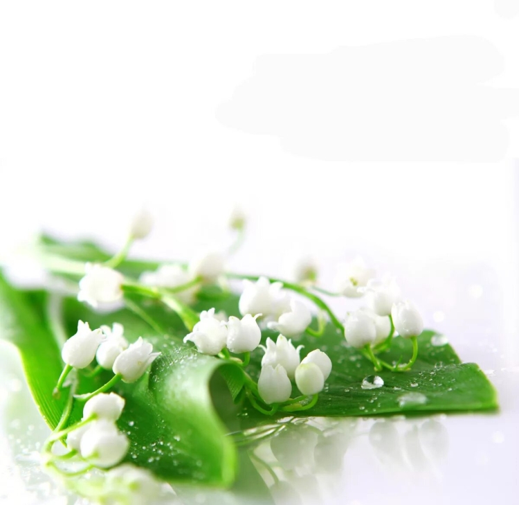 Поздравления с днём рождения Инна