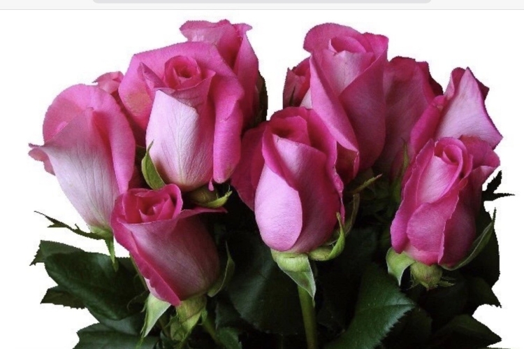 С днём рождения Валентина