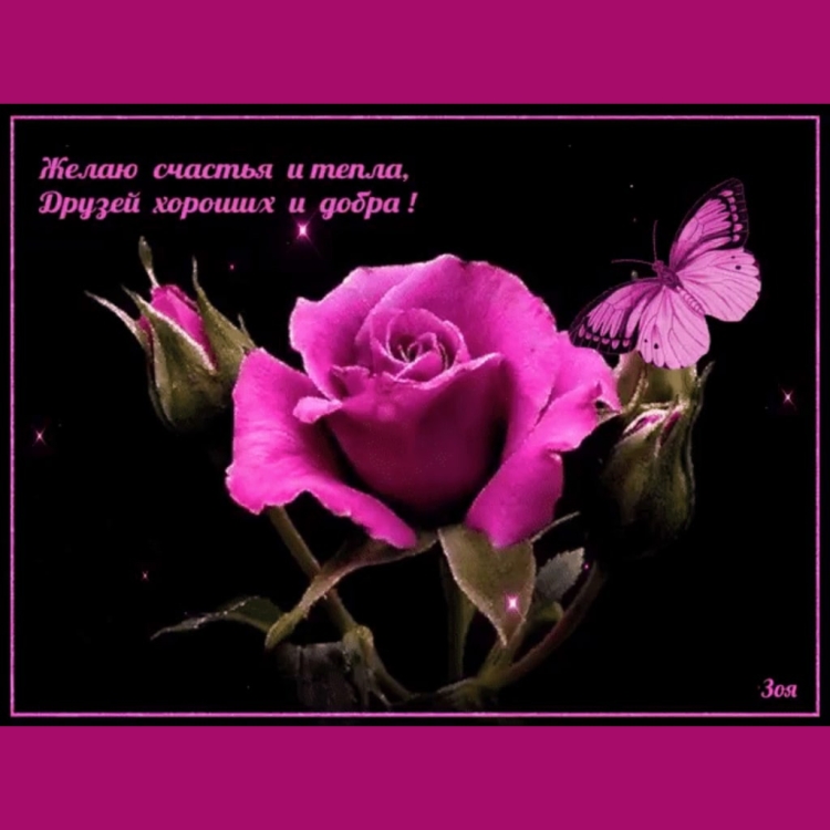 Цветы с пожеланиями добра