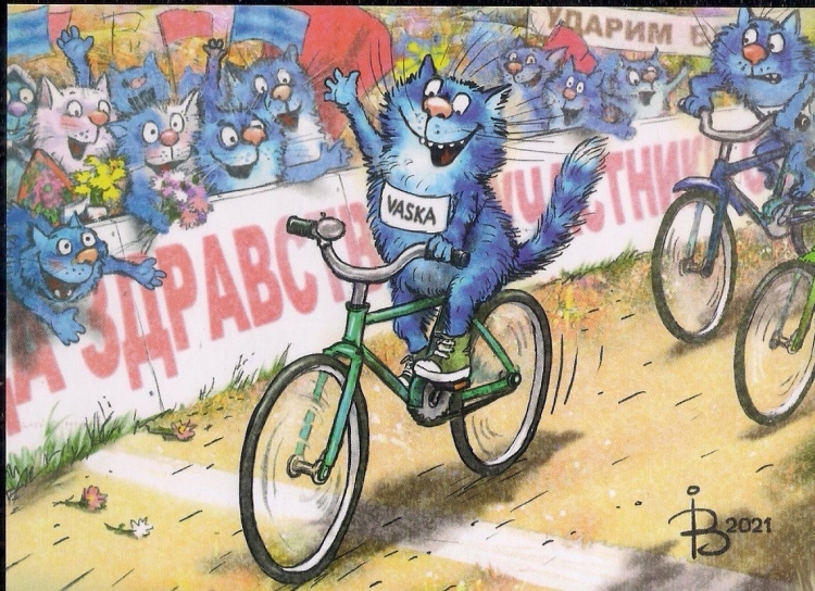 Синие коты на велосипеде