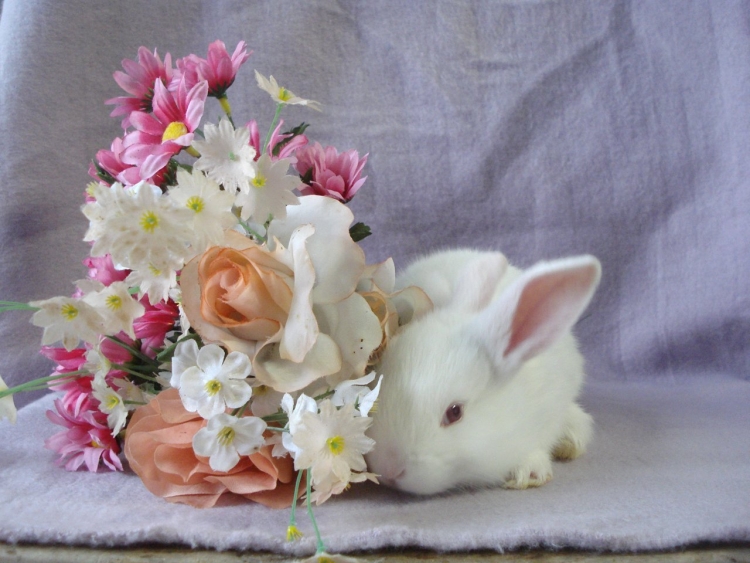 Букет для Насти