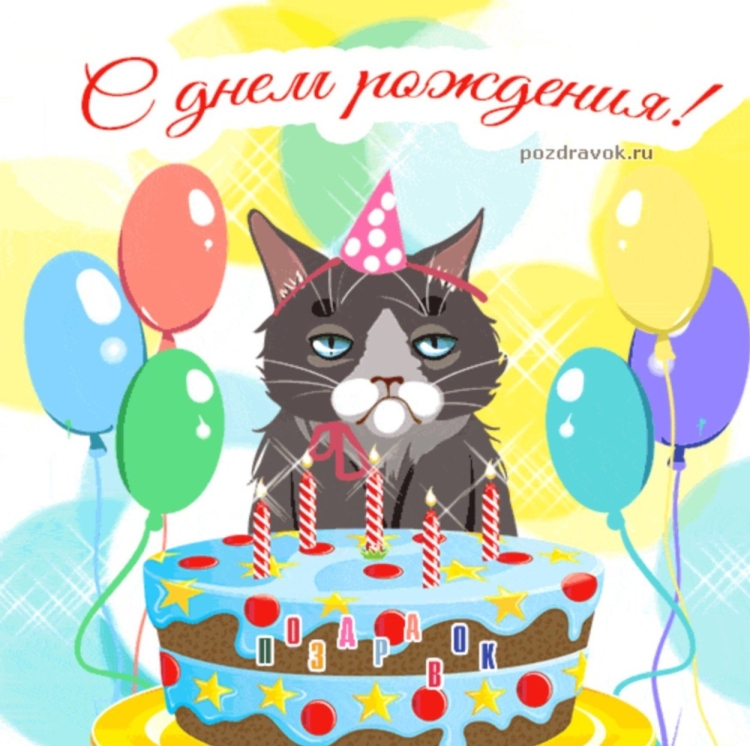 Открытка с днём рождения с котом