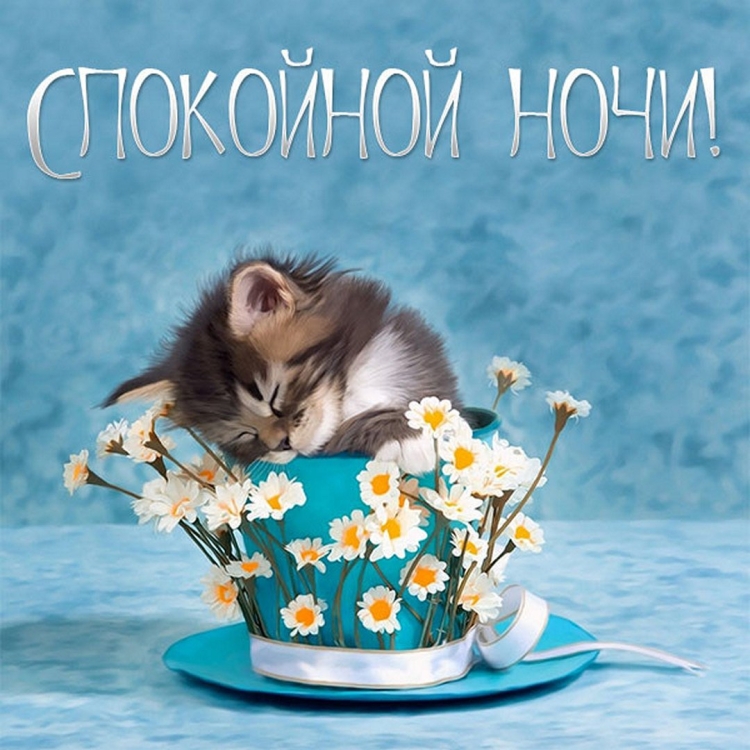 Милые поздравления с днем рождения