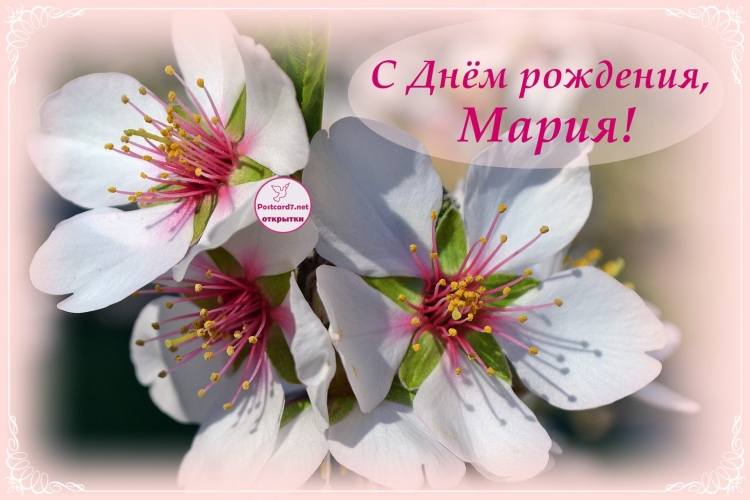 Плздравления с днём рождения Марии